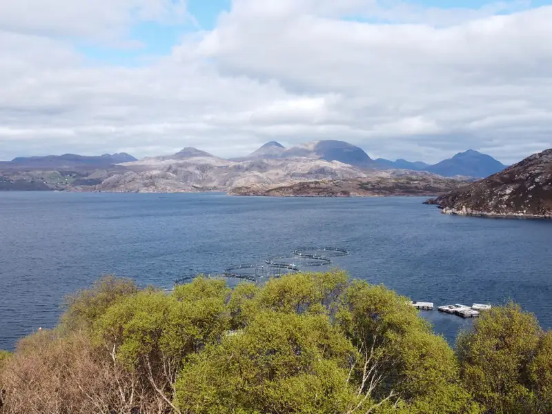 A Scottish loch with hills behind